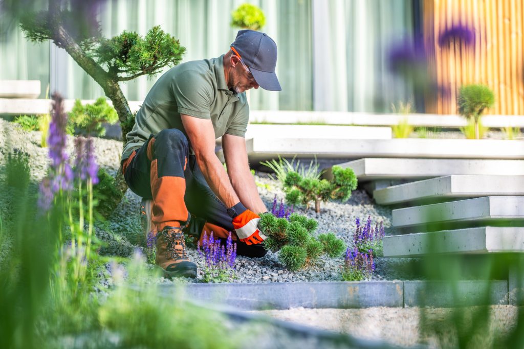 Hiring a Landscape Gardener