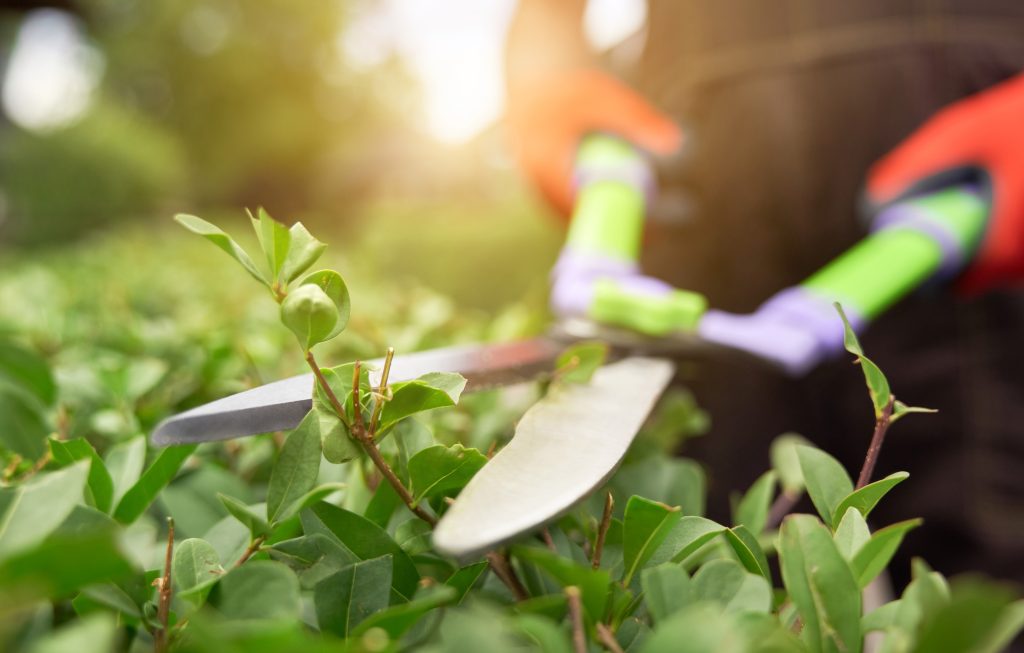 Essential Questions to Ask Before Hiring a Landscaping Company